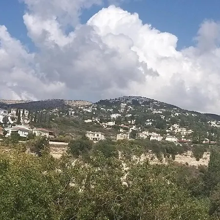 Gardens *